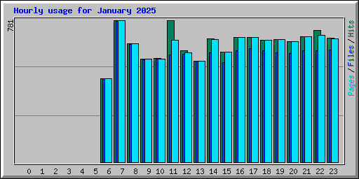 Hourly usage for January 2025