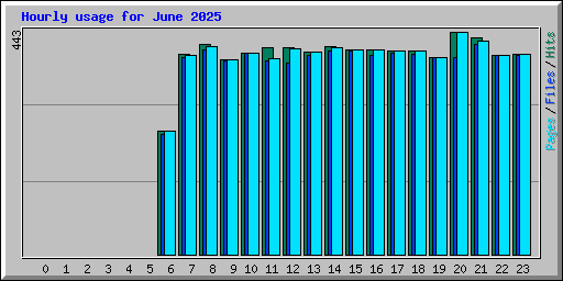 Hourly usage for June 2025