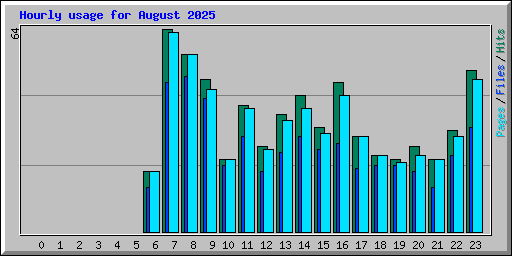 Hourly usage for August 2025