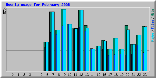 Hourly usage for February 2026