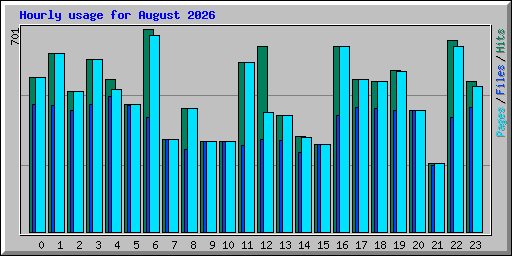 Hourly usage for August 2026